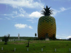 Big Pineapple